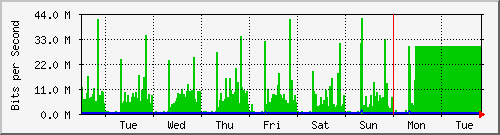 week