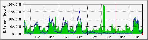 week